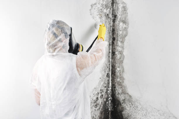 Water damage restoration process in Sparks, TX