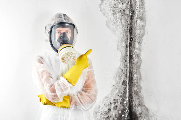 Water damage restoration mold remediation in Sparks, TX